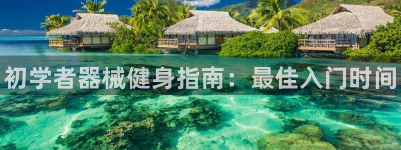 尊龙D88现金旧版:初学者器械健身指南:最佳入门时间